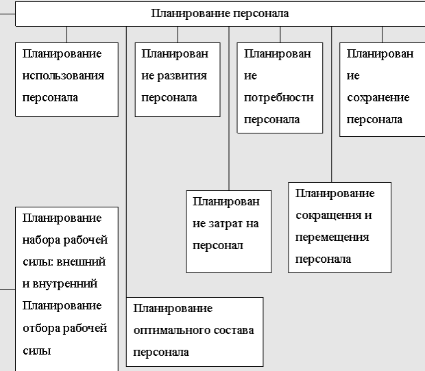 Проблемы подбора и отбора персонала в организации - Отбор персонала в организации