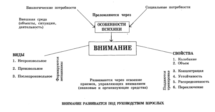 Внимание и деятельность - Виды внимания