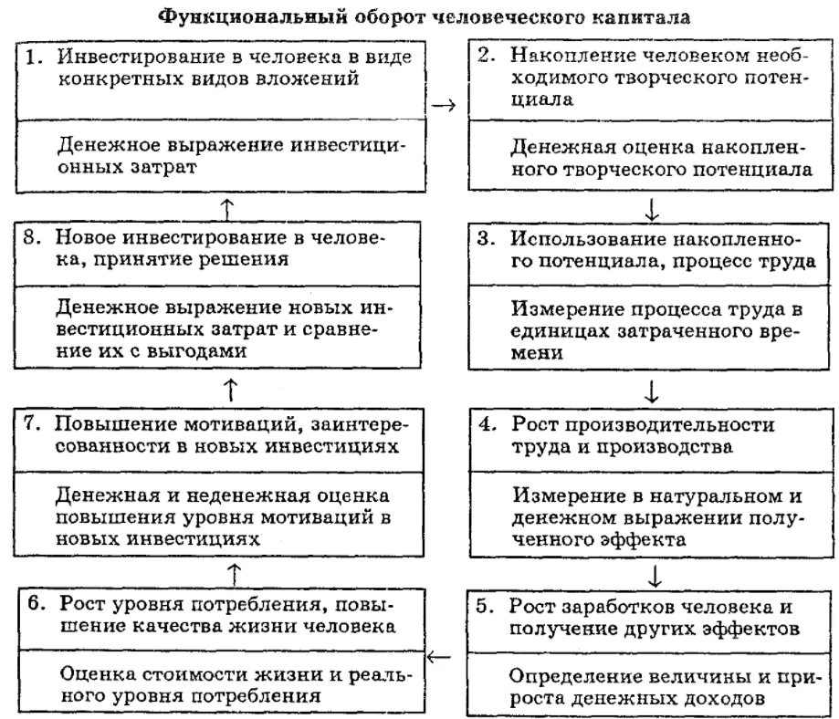 Роль человеческого капитала в современном менеджменте - Сущность категории человеческого капитала