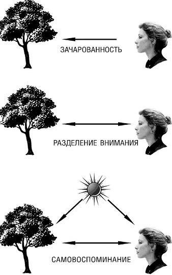 Внимание - Основные виды