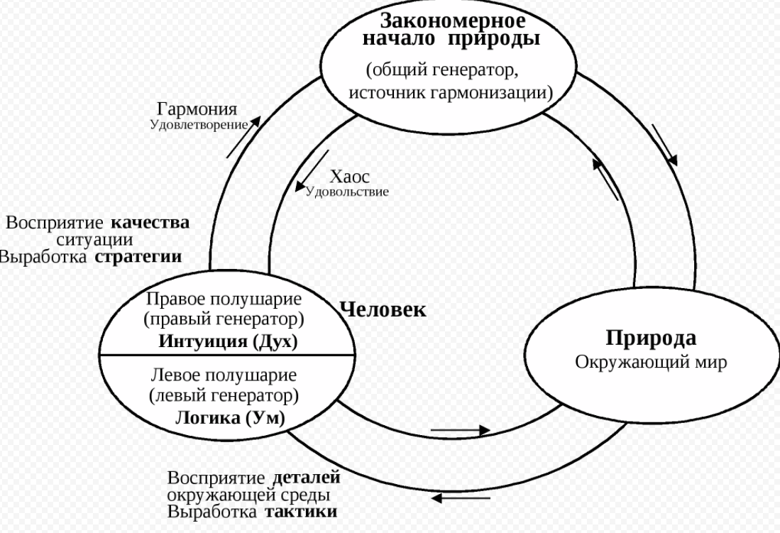 Связь человека и организационного окружения - Соотношение терминов "человек", "индивид"; "личность" с понятием "личность"