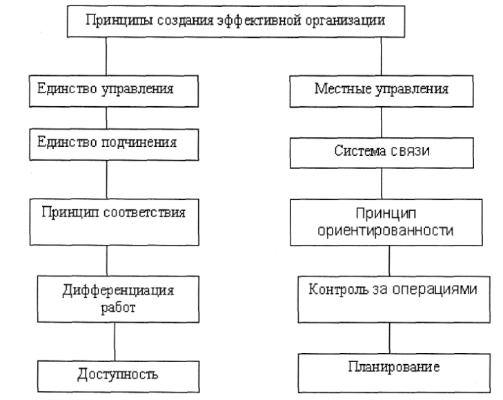 Построение эффективной структуры управления компанией - Сущность организационной структуры управления предприятием