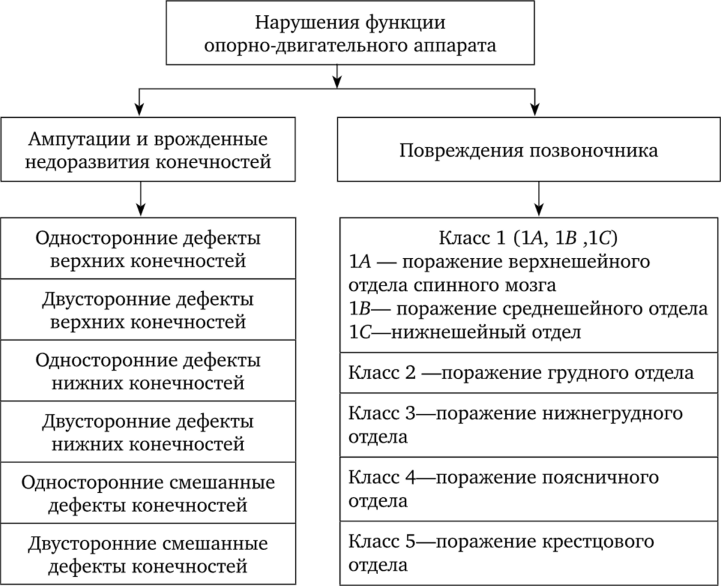 Психологические особенности людей с проблемами опорно-двигательного аппарата - Виды патологии опорно-двигательного аппарата