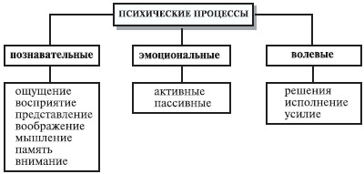 Психология познавательных процессов - Ощущения: классификация, общие свойства