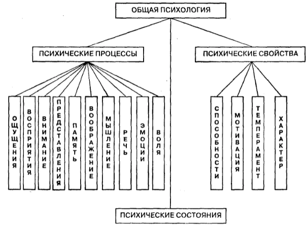 Принципы общей психологии -  Методологические принципы психологии 