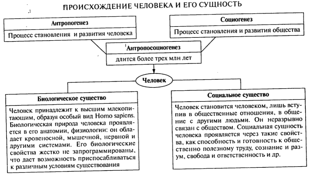 Человек и его бытие как центральная проблема философии - Проблема человека 