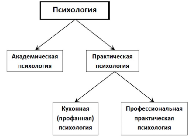 Прикладная психология - Основные понятия и отрасли прикладной психологии