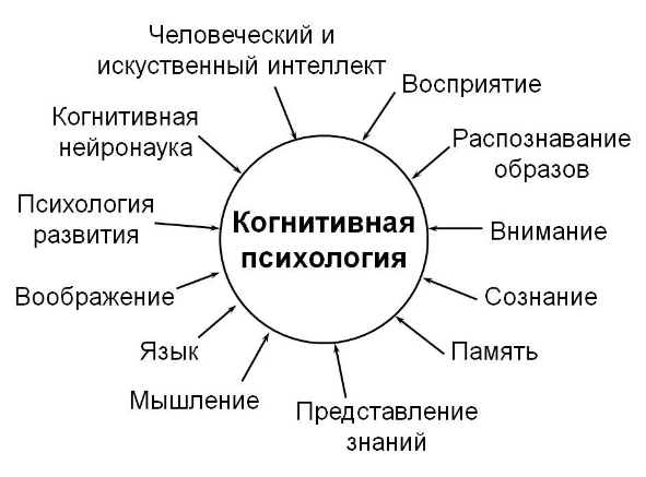 Проблемы когнитивной психологии - Становление когнитивной  психологии 