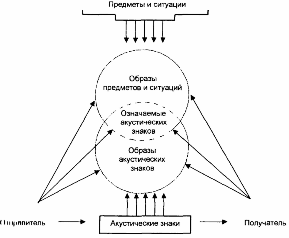 Когнитивный подход в психологии - Когнитивное развитие человека