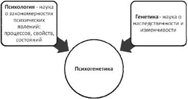 Психогенетика - Предмет, цели и задачи психогенетики