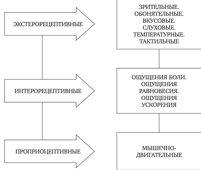 Виды ощущений - Классификация