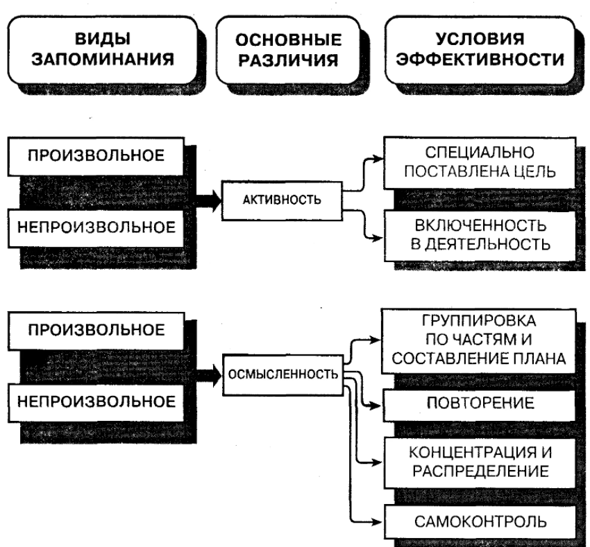 Развитие памяти - Возрастные особенности памяти у младших школьников