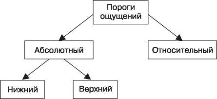 Пороги чувствительности в психологии - Диапазоны и пороги чувствительности