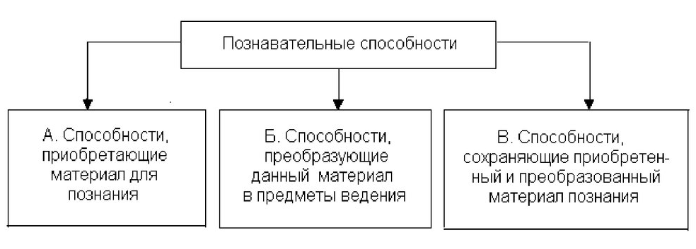 Познавательные способности в психологии - Роль познавательных процессов в художественном творчестве