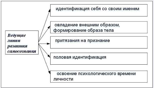 Психологические новообразования дошкольного возраста - Центральные личностные новообразования дошкольного возраста