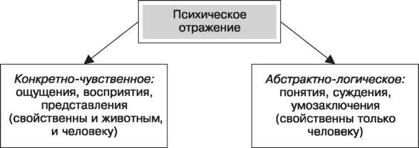 Психика и отражение - Психика как отражение объективной действительности