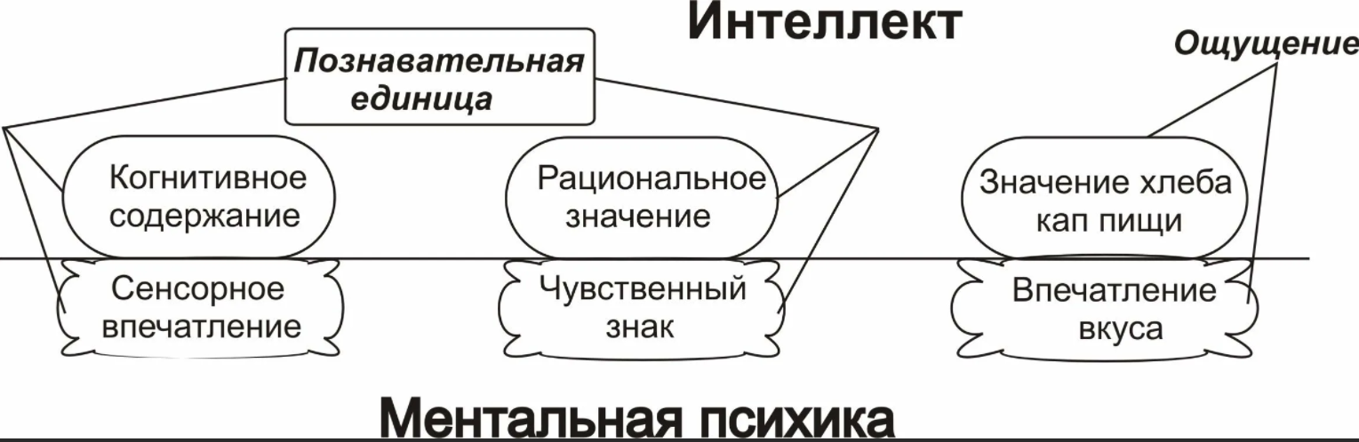 Проблема развития мышления и интеллекта - Типы мышления