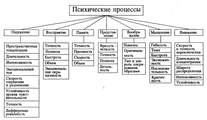 Психические процессы 3-4 лет - Социальная ситуация развития ребенка в раннем возрасте и общение со взрослым