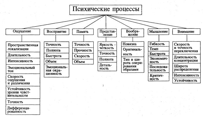 Первичные психические процессы - Общее понятие об ощущениях