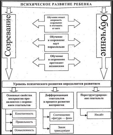 Психические процессы развития ребенка - Социальная ситуация развития ребенка в раннем возрасте и общение со взрослым