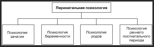 Перинатальная психология - Общая концепция перинатальной психологии