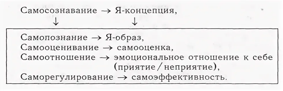 Особенности самоотношения и психологического благополучия в среднем возрасте - Понятие личностной идентичности