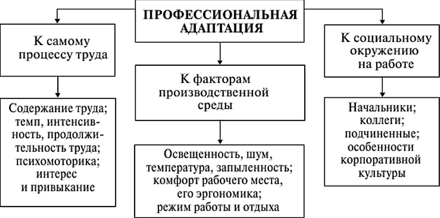 Адаптация работников в коллективе - Концепция организации