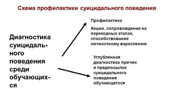 Профилактика суицидального поведения детей - Самоубийство и отношение к нему в обществе