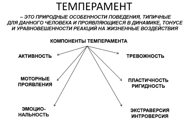 Темперамент и его влияние на успешность учебной деятельности