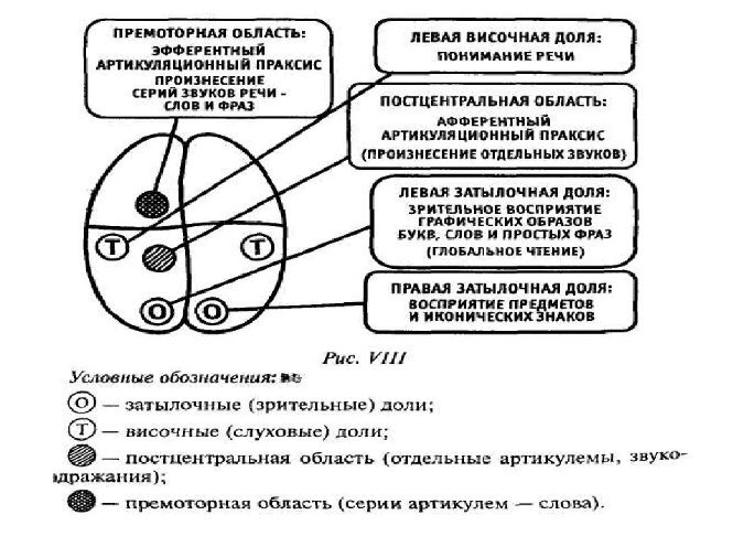 Особенности нарушений письма и чтения при поражениях головного мозга у взрослых и детей - Нейропсихологические механизмы письменной речи