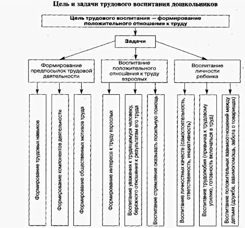 Теоретические и методические основы организации трудовой деятельности дошкольников