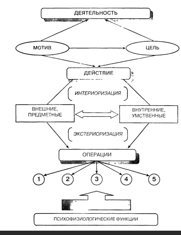 Деятельностный подход в психологии. Проблема социальной обусловленности психики человека - Основные моменты понятия “действие”
