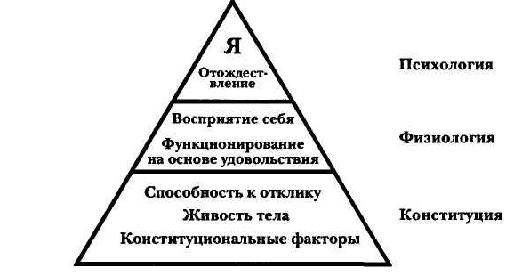 Психология тела - Спортивная деятельность как социокультурная форма телесной объективации