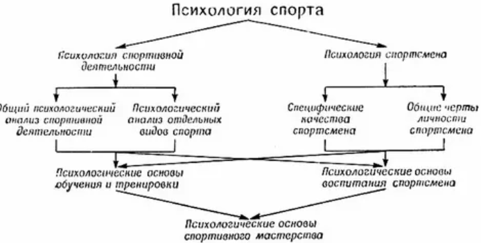 Психология спорта - Психология профессиональной деятельности