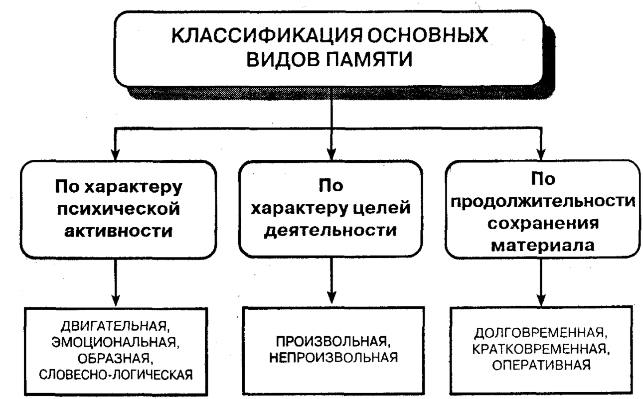 Память - Память. Общее положение