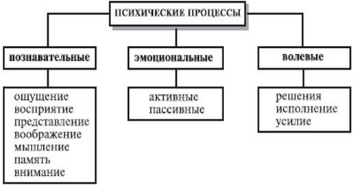 Психические процессы -  Взаимосвязь психических процессов