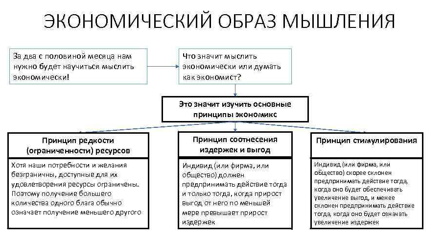 Философско-экономический образ мышления - Философское и экономическое мышление