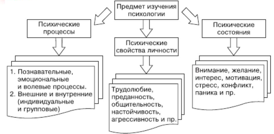 Предмет психологии как науки - Место психологии среди других наук