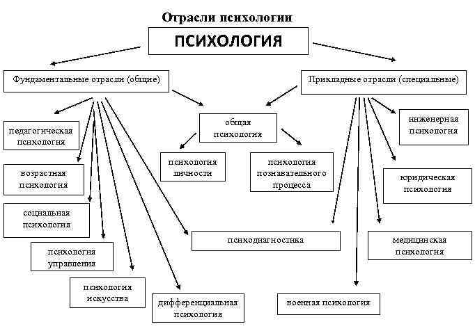 Принципы и структура современной психологии - Отрасли психологии