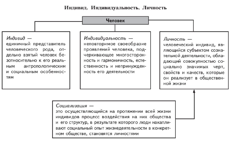 Понятия «индивид» и «личность» - Понятия личности, индивида, индивидуальности и их соотношение