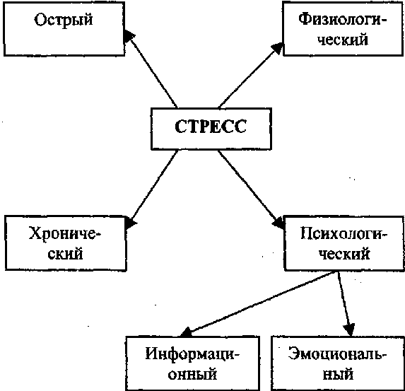 Виды стресса в психологии - Понятие "стресс" и его виды