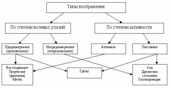 Воображение в дошкольном возрасте - Воображение как психологический процесс 