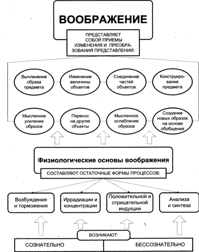 Воображение и внимание - Воображение 