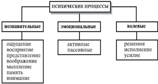 Виды психических процессов: чувства - Психические процессы