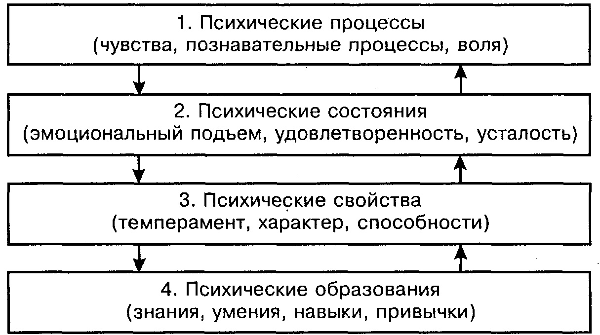 Виды психических процессов: эмоции - Психологические теории эмоций