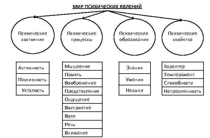 Взаимосвязь обучения и психических процессов - Концепция духовного развития