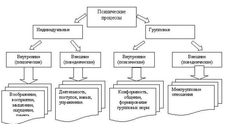 Вторичные психические процессы - Общие характеристики восприятия и ощущения