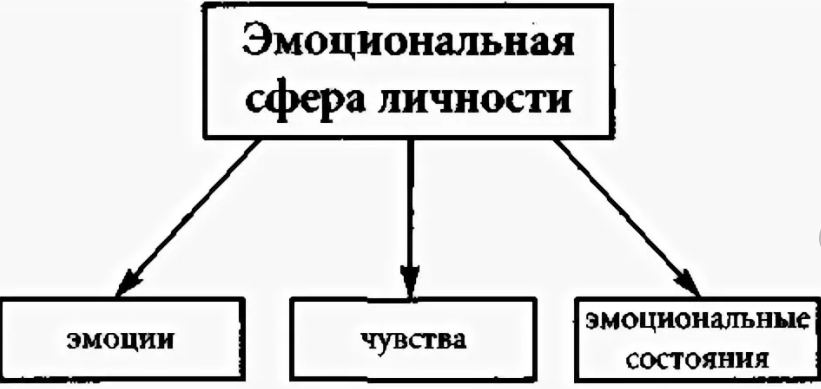 Взаимосвязь эмоциональной сферы личности и типа мышления